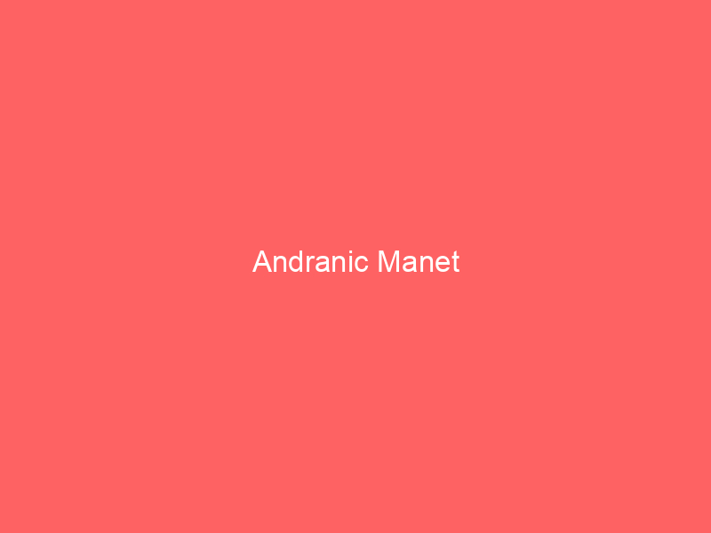 Andranic Manet
