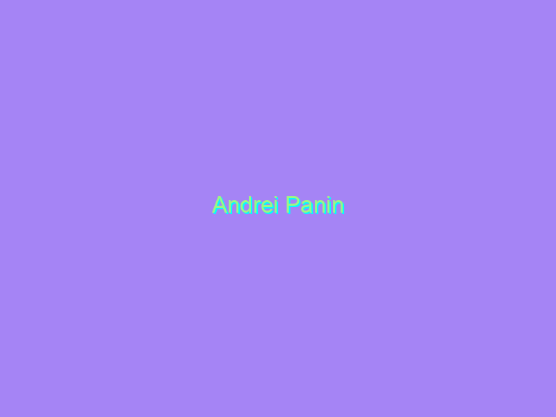 Andrei Panin