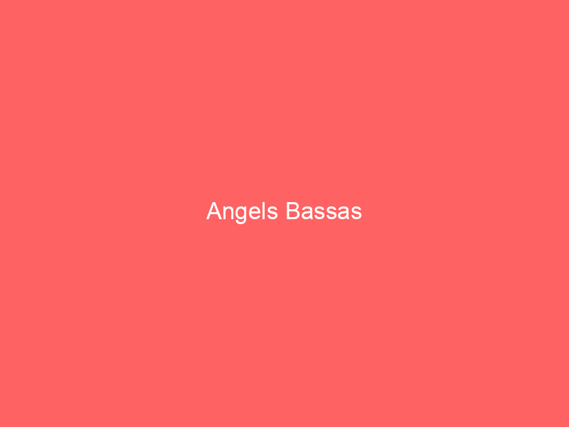 Angels Bassas