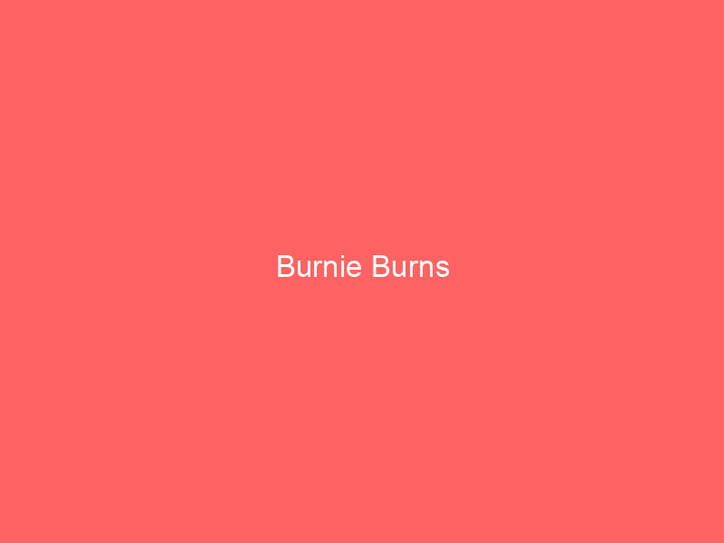 Burnie Burns
