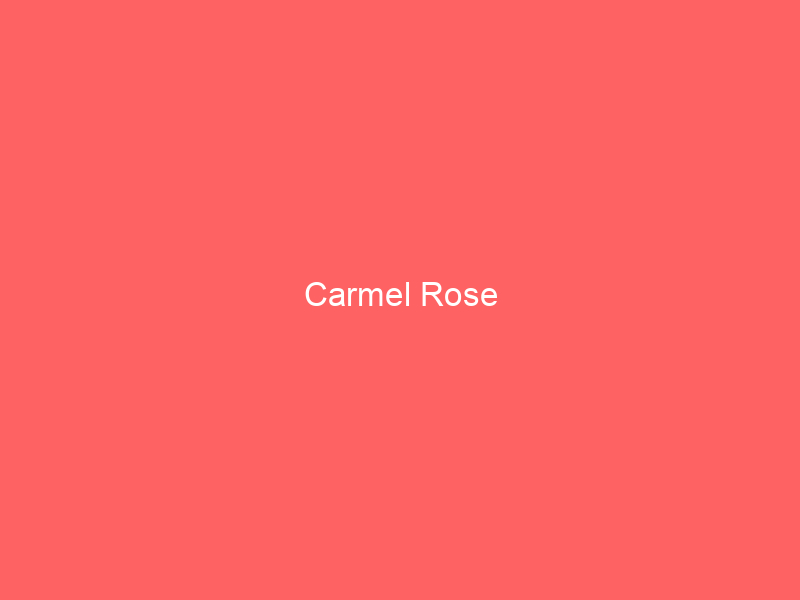 Carmel Rose