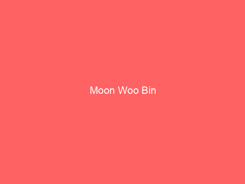 Moon Woo Bin