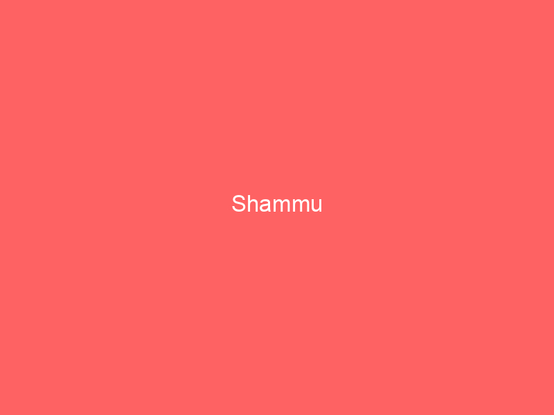Shammu
