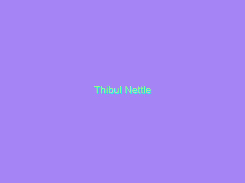 Thibul Nettle