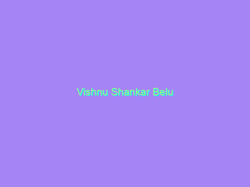 Vishnu Shankar Belu