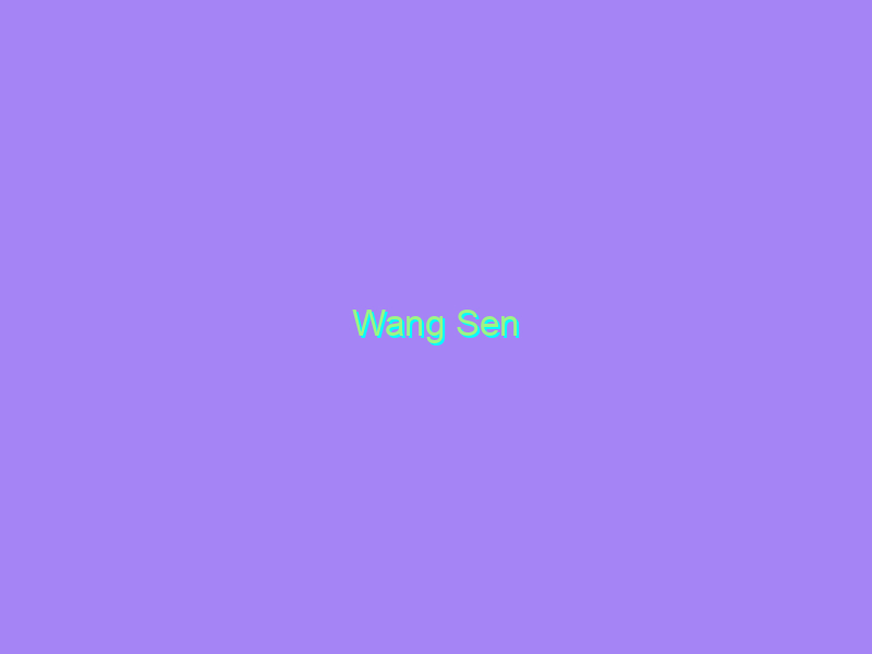 Wang Sen