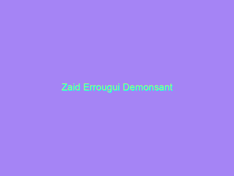 Zaid Errougui Demonsant