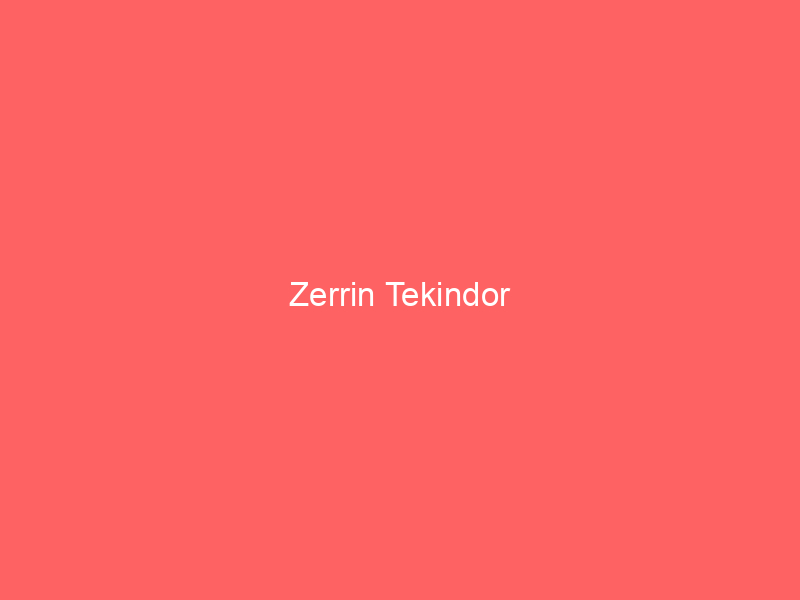 Zerrin Tekindor